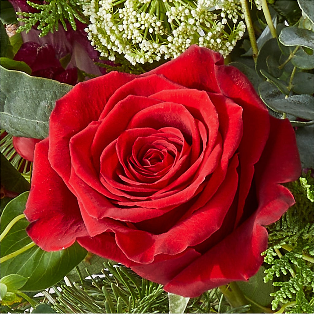 Cranberry Fizz Bouquet – HYDE PARK FLORIST & GIFTS, Hyde Park NY