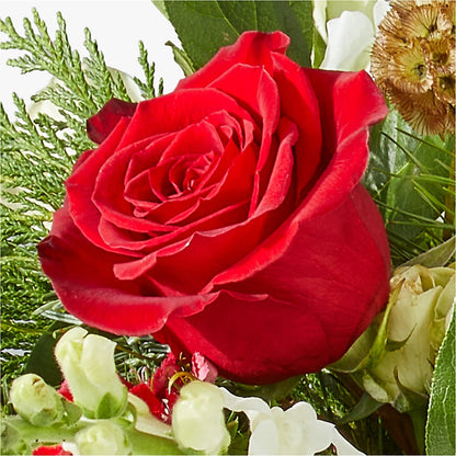 Deck the Halls Bouquet – HYDE PARK FLORIST & GIFTS, Hyde Park NY