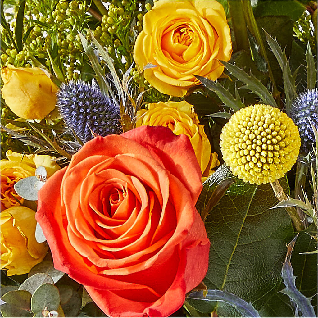 Disco Bouquet – HYDE PARK FLORIST & GIFTS, Hyde Park NY