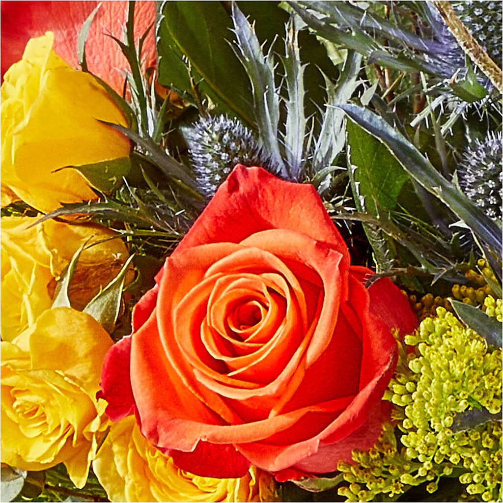 Disco Bouquet – HYDE PARK FLORIST & GIFTS, Hyde Park NY
