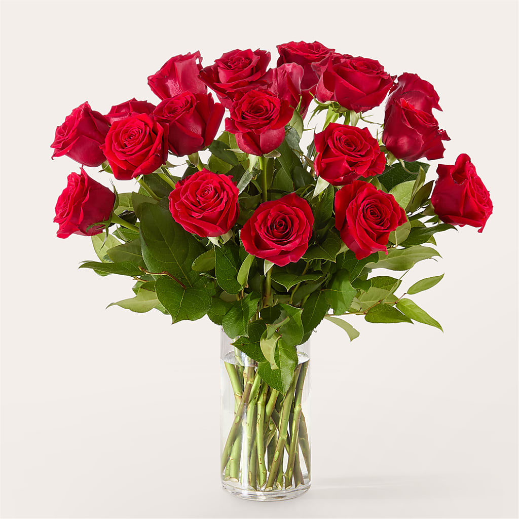 The One Red Rose Bouquet – HYDE PARK FLORIST & GIFTS, Hyde Park NY