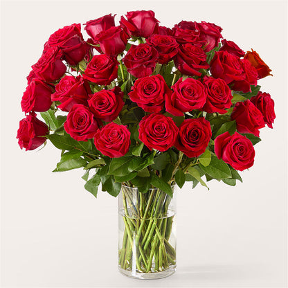 The One Red Rose Bouquet – HYDE PARK FLORIST & GIFTS, Hyde Park NY