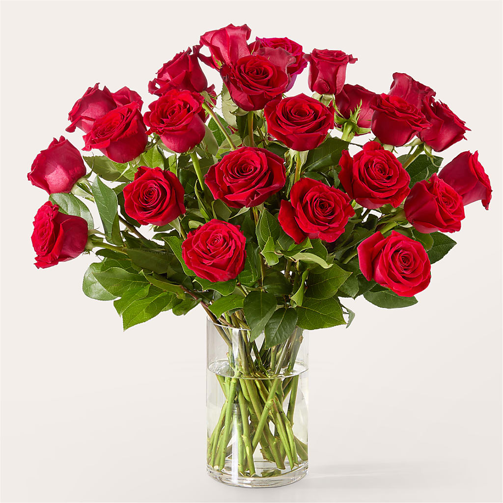 The One Red Rose Bouquet – HYDE PARK FLORIST & GIFTS, Hyde Park NY