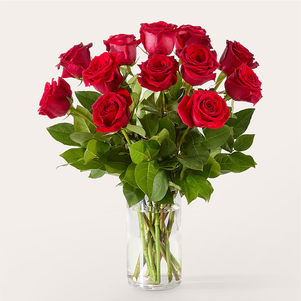 The One Red Rose Bouquet – HYDE PARK FLORIST & GIFTS, Hyde Park NY