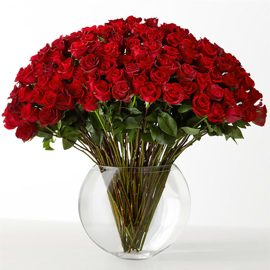 The Idealist – HYDE PARK FLORIST & GIFTS, Hyde Park NY
