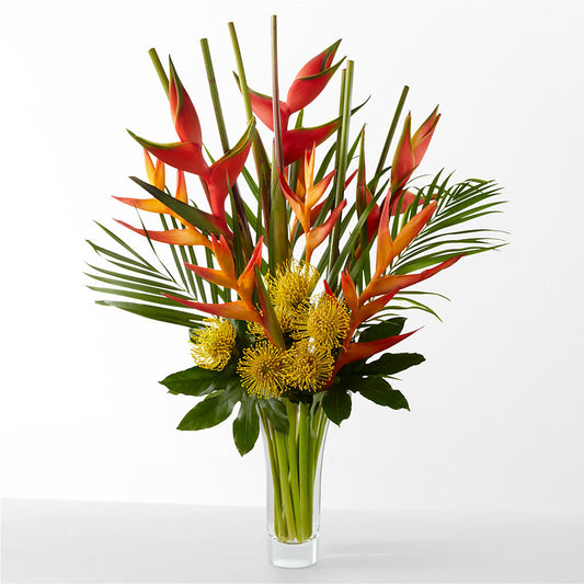 The Drama – HYDE PARK FLORIST & GIFTS, Hyde Park NY