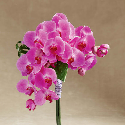 Glorious Bouquet – HYDE PARK FLORIST & GIFTS, Hyde Park NY