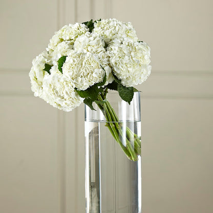 White Hydrangea Hand-Tied Bouquet – HYDE PARK FLORIST & GIFTS, Hyde Park NY