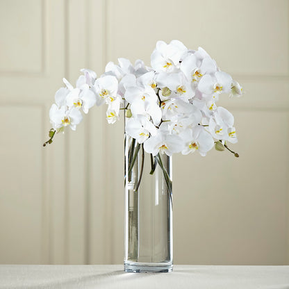 White Phalaenopsis Bouquet – HYDE PARK FLORIST & GIFTS, Hyde Park NY